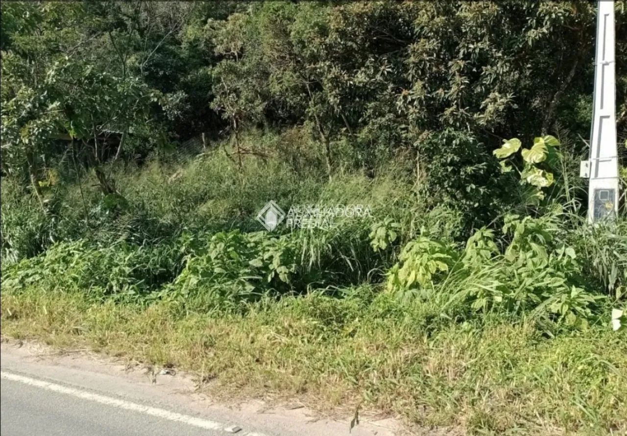 Terreno para vender na Armação, Viabilidade de Construção, Florianópolis - Foto 2