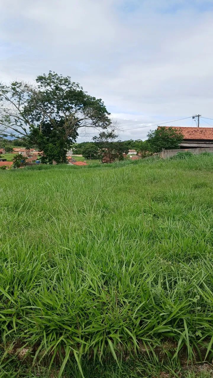 Condomínio Parque das Palmeiras  - Foto 5