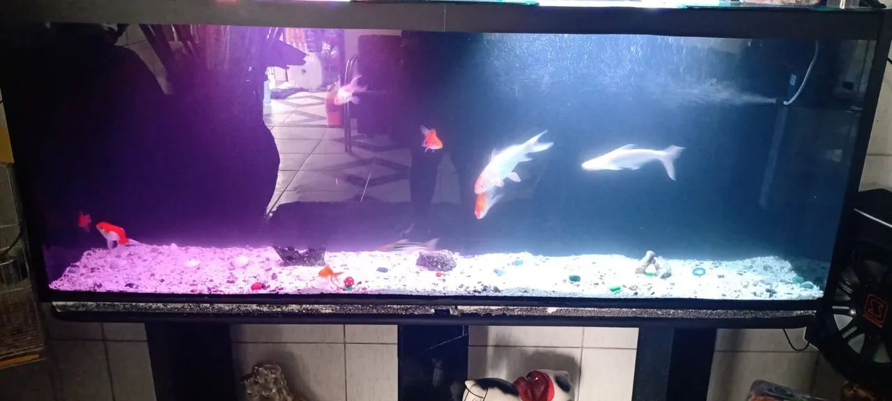 Aquário vendo 