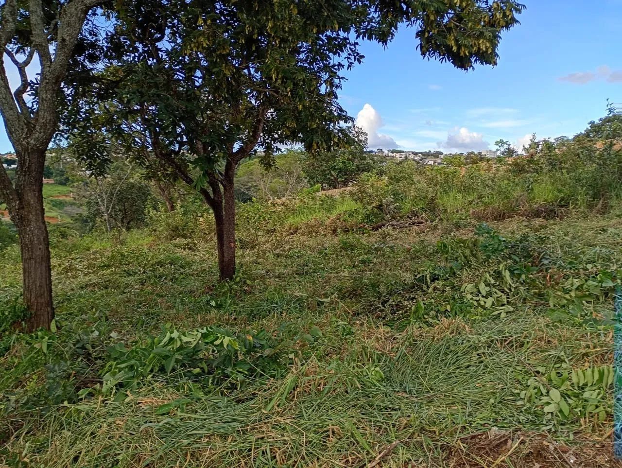 Lote em Lagoa Santa - Foto 4