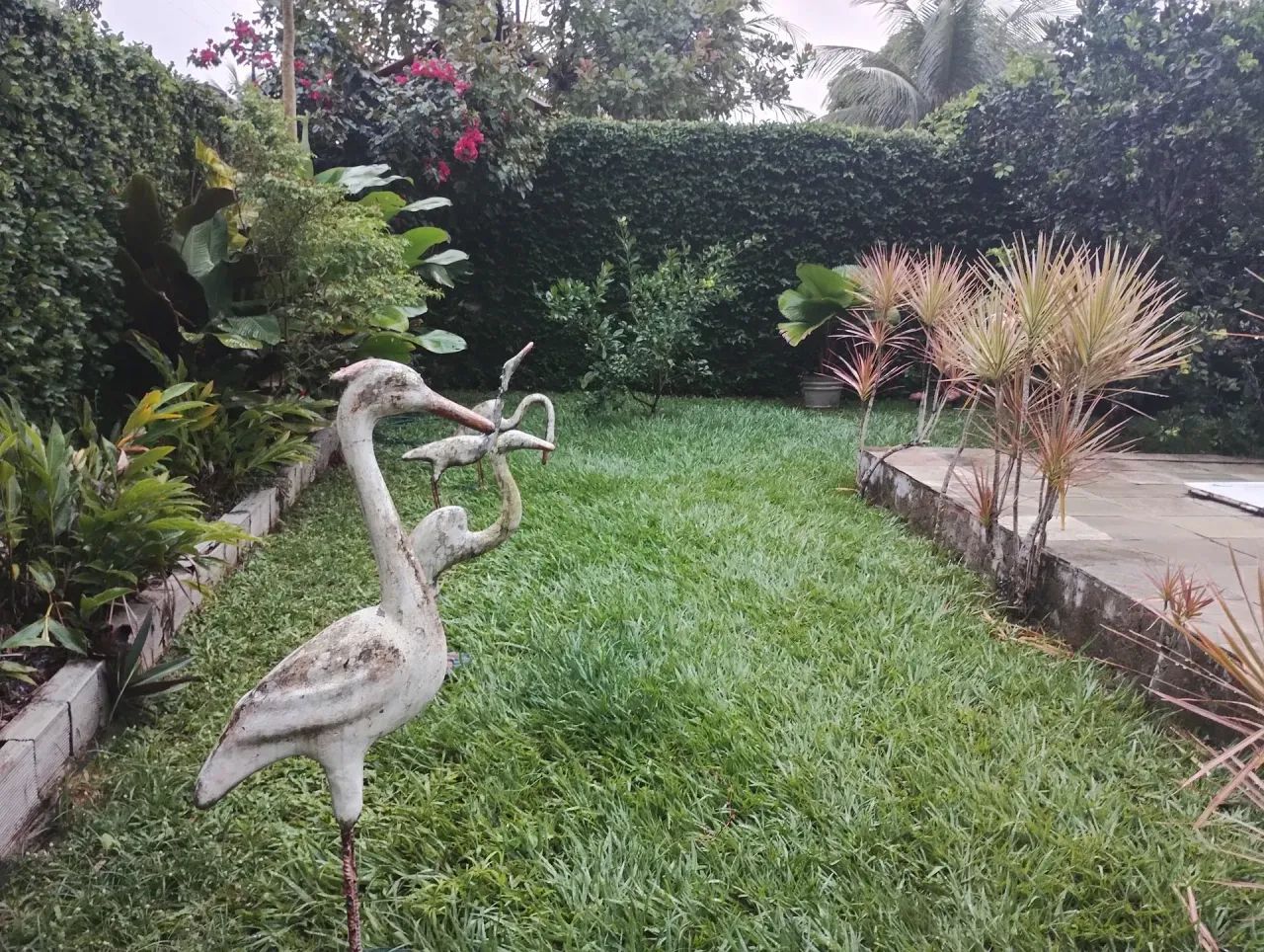 chácara em aldeia, km 10, vende-se - Foto 5