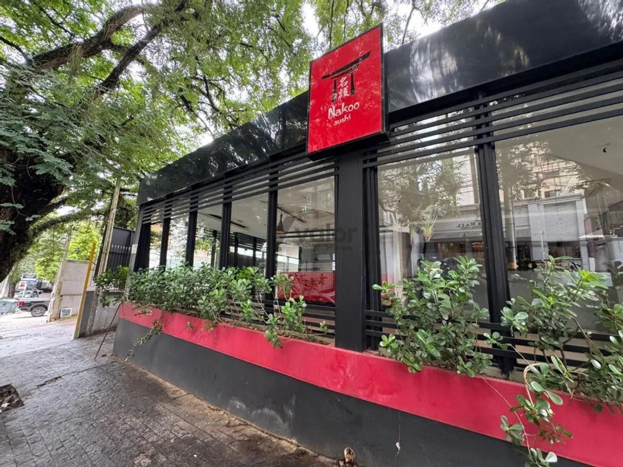 Salão para alugar em Campinas, Cambuí, com 436 m² - Foto 3