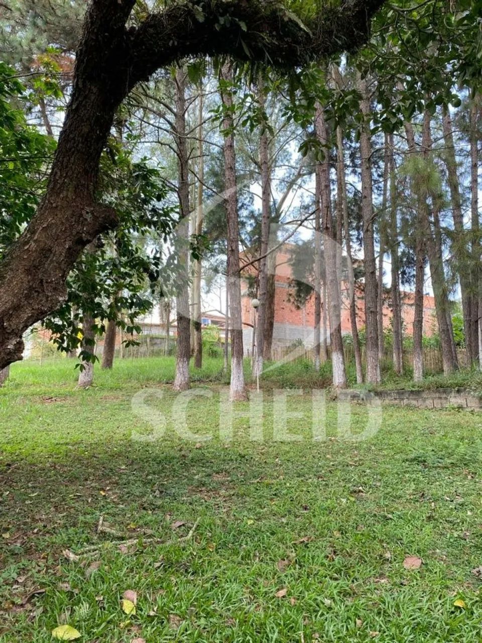 Sítio, Chácara do Sol - São Paulo - Foto 2
