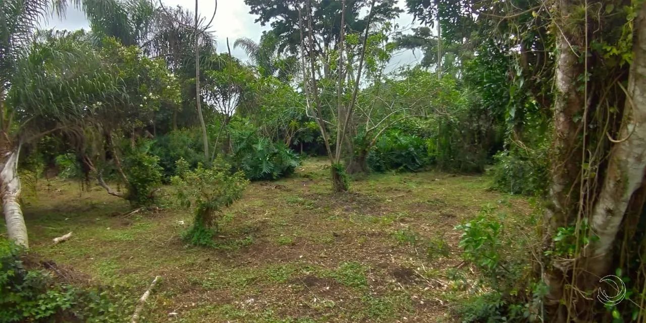 Terreno de 3575m² no bairro Morro Das Pedras - Foto 2