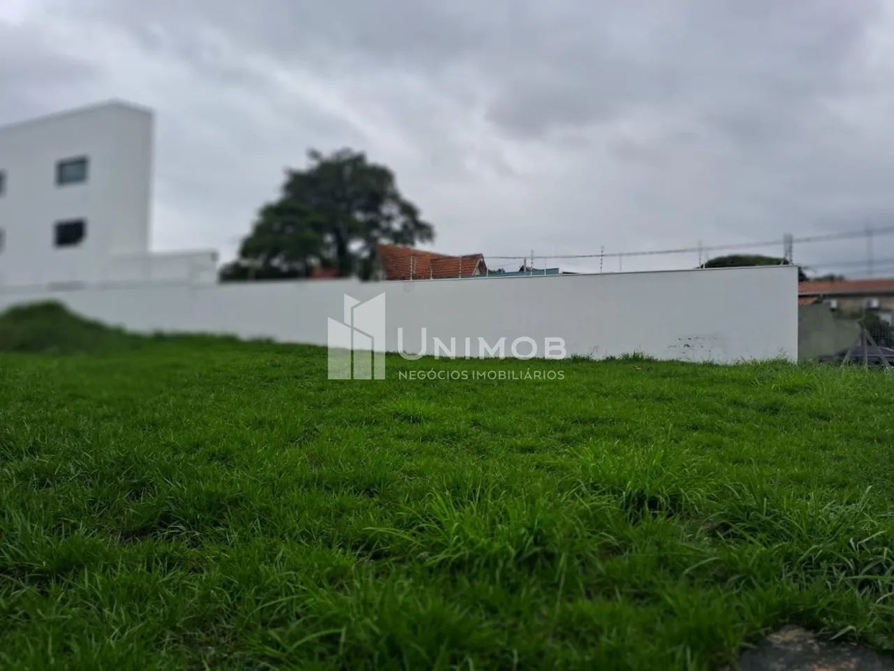 terreno - Nova Campinas - Campinas - Foto 5