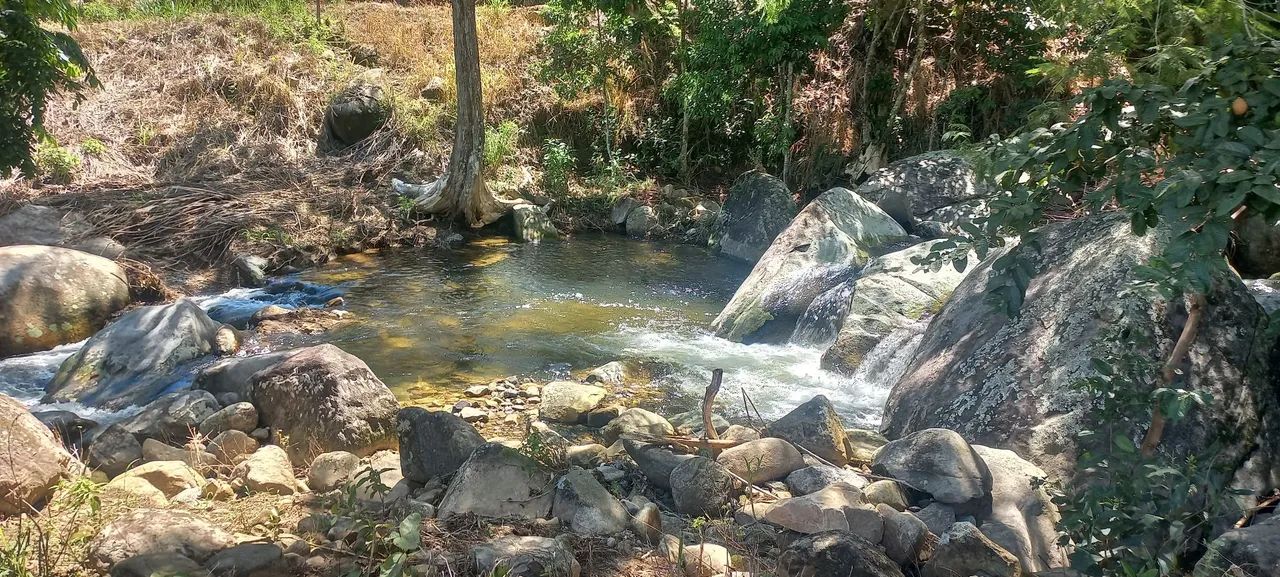 Chacara c/cachoeira Pedro Toledo SP