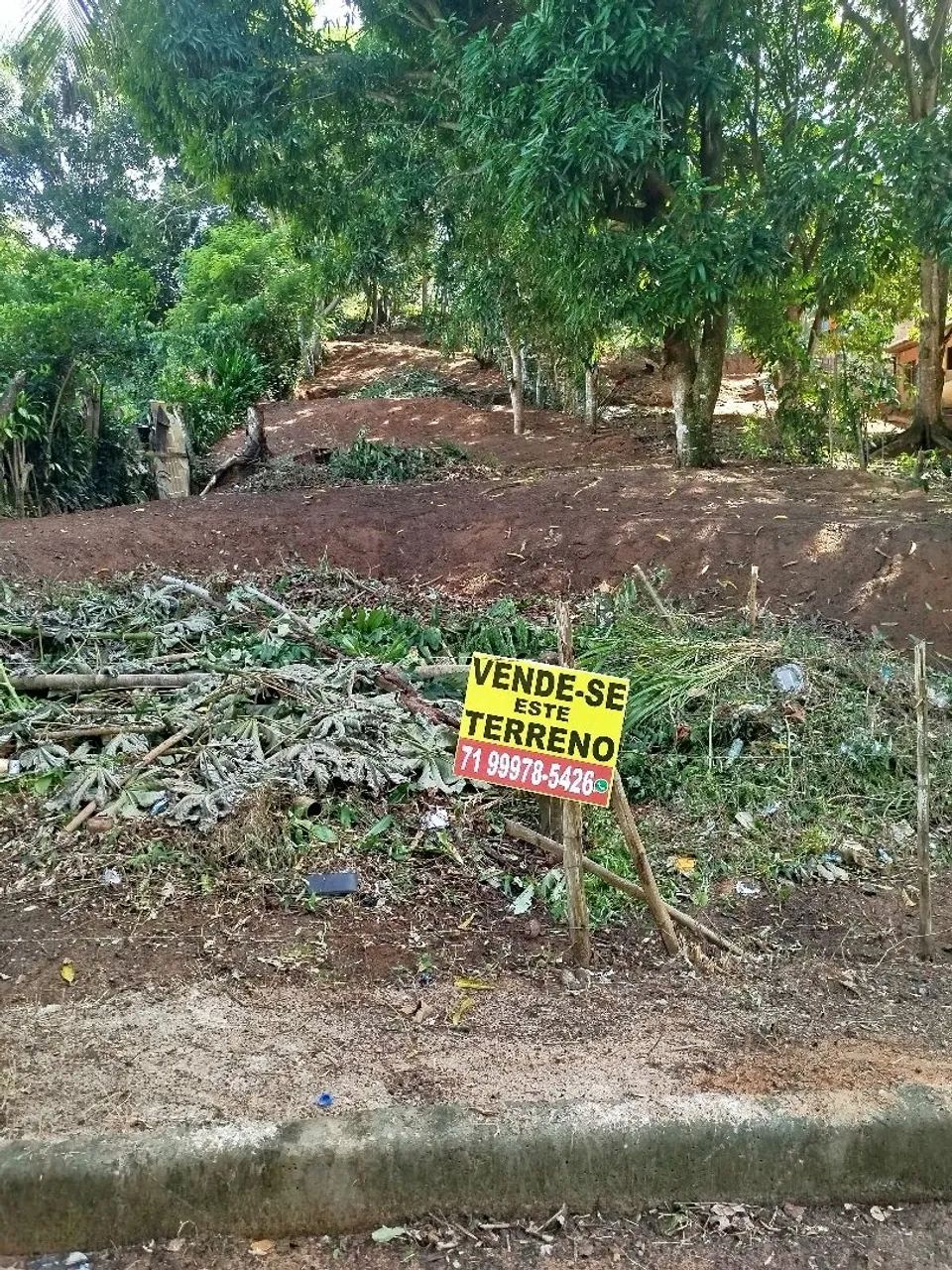 Foto - Mata de São João - Imbassaí