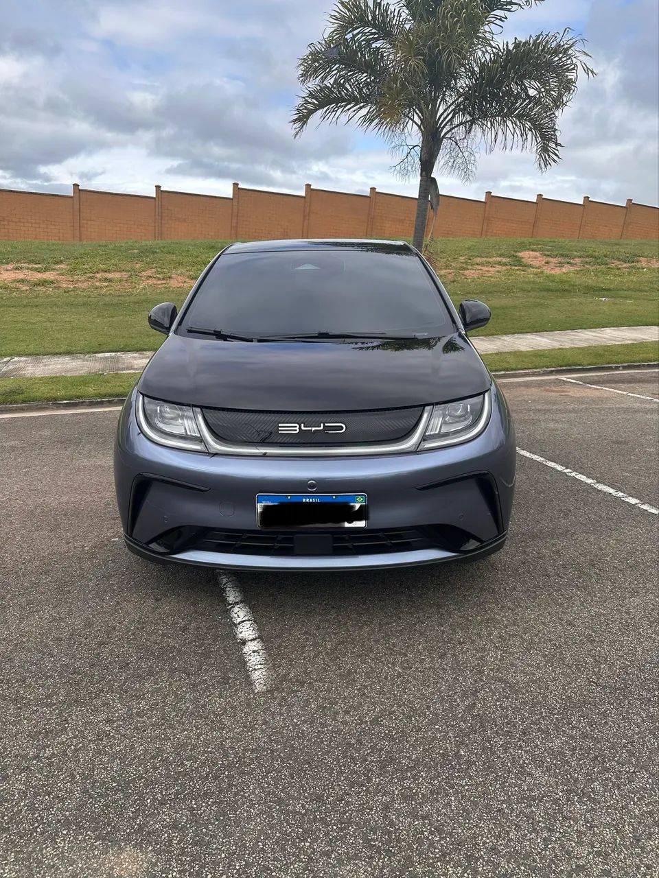 BYD Dolphin Plus (Elétrico) 2025