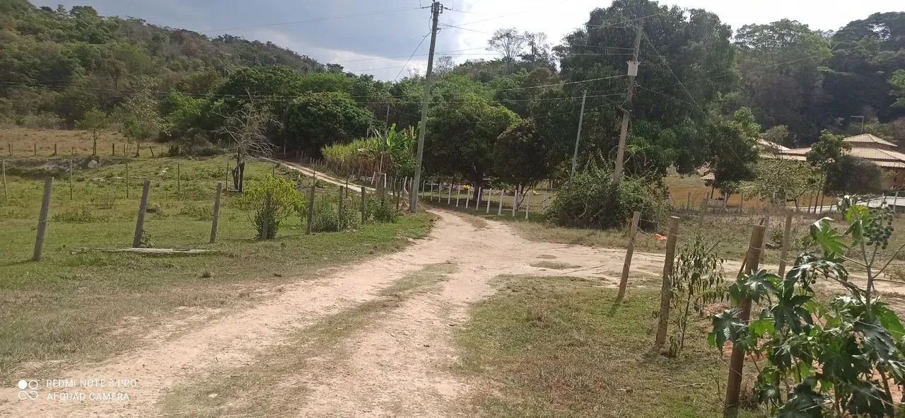 Venda - Foto 3