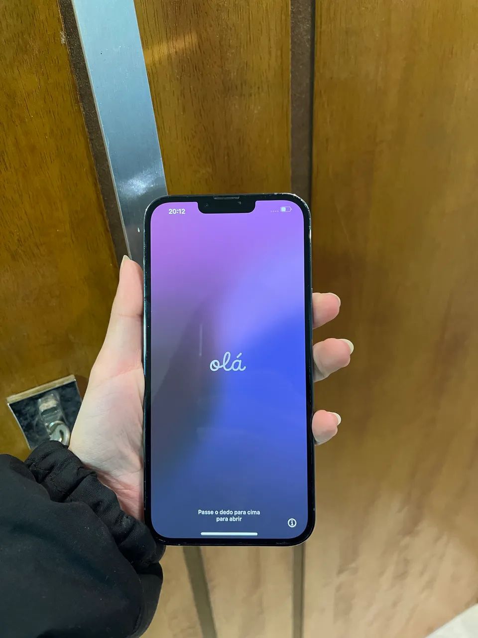 iPhone 13 Pro Max $2.599