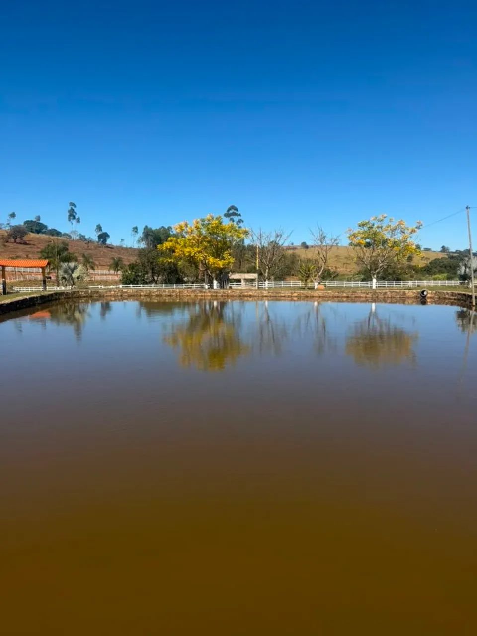 FAZENDA 38 HC EM PIRACEMA.