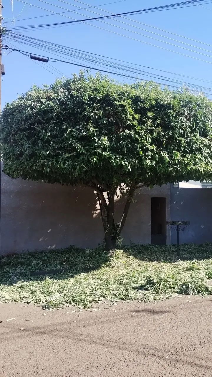 Jardinagem 