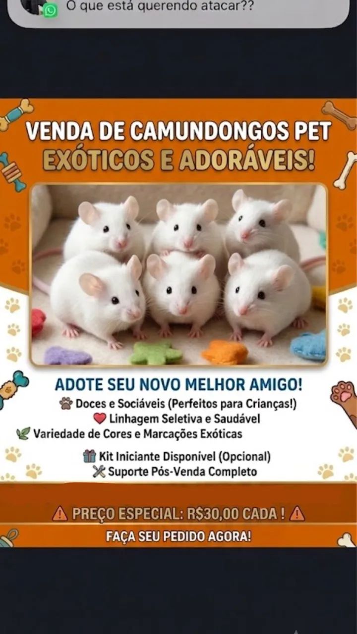 Camundongo