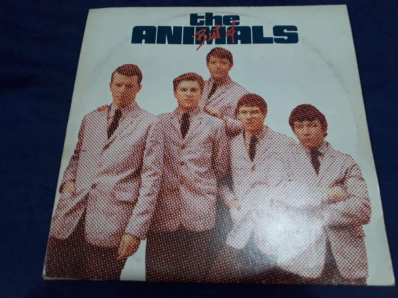 Disco the Animals - Foto 3