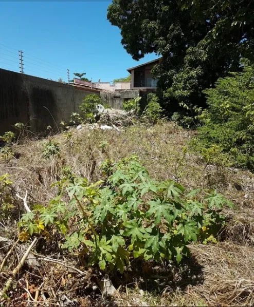 TERRENO para alugar na cidade de FORTALEZA-CE - Foto 3