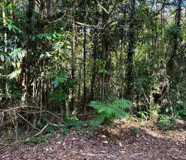 Vende-se terreno em Arraial d?Ajuda