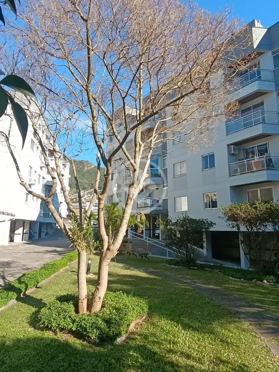 Imóvel para venda possui 84 metros quadrados com 3 quartos em Trindade - Florianópolis - S