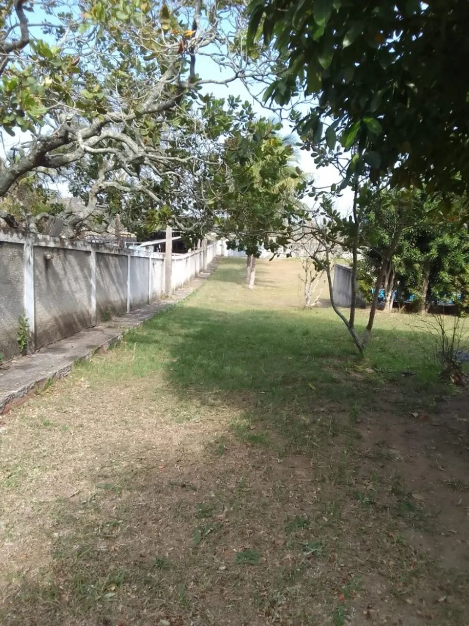 Sítio 2.000 m2 murado e com escritura - Foto 5