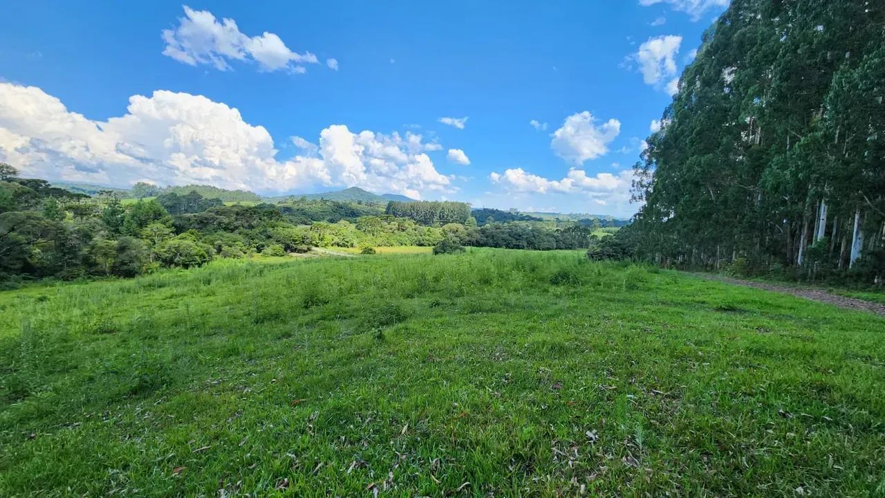 Terreno com 57 hectares próximo da rodovia - Foto 2
