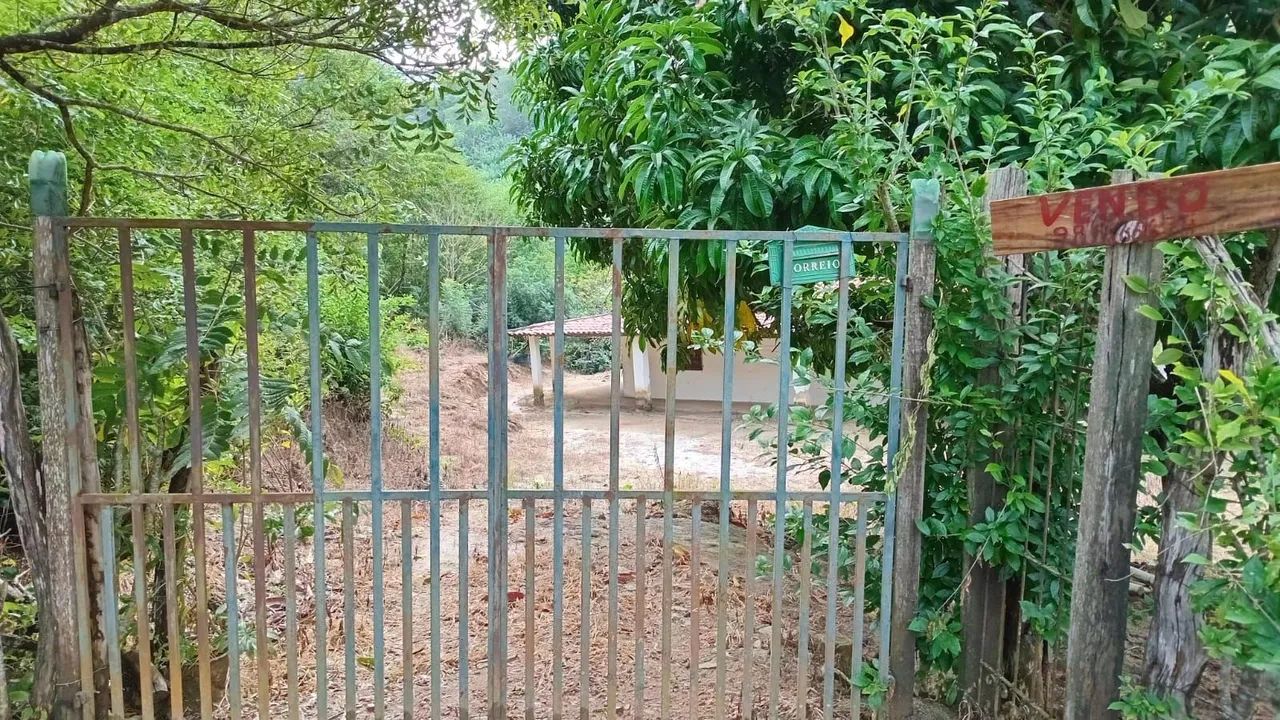Vendo Sitio Pilões/Palmacia  - Foto 2
