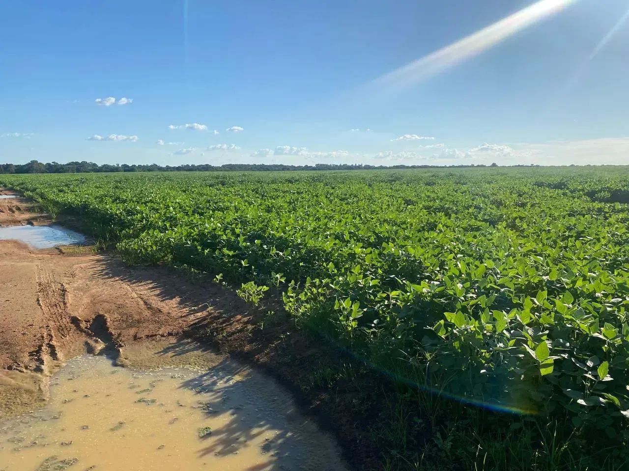 Fazenda a venda, em Talismã Tocantins! - Foto 3