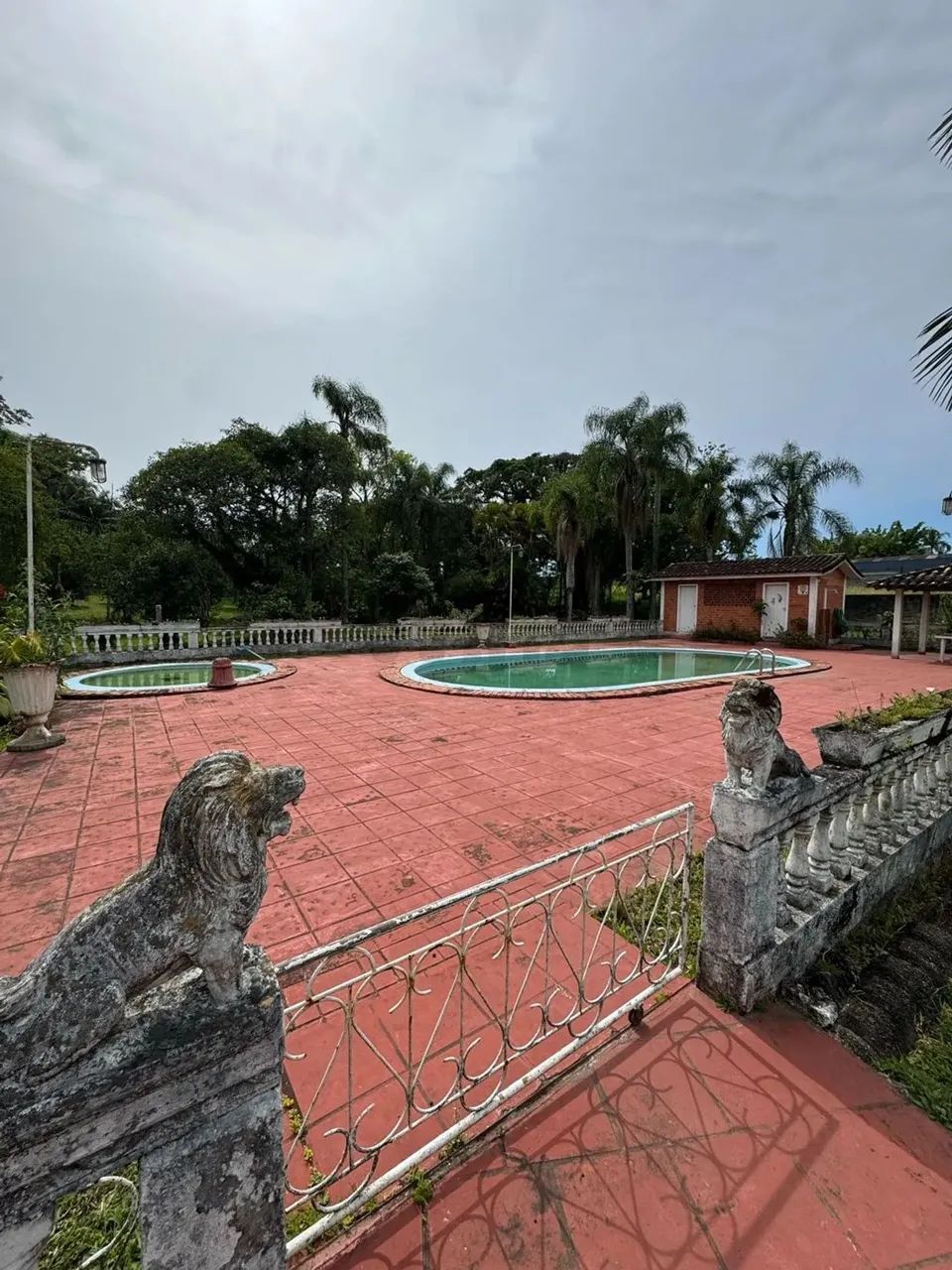 Chácara próxima ao Centro de Criciúma - Foto 10