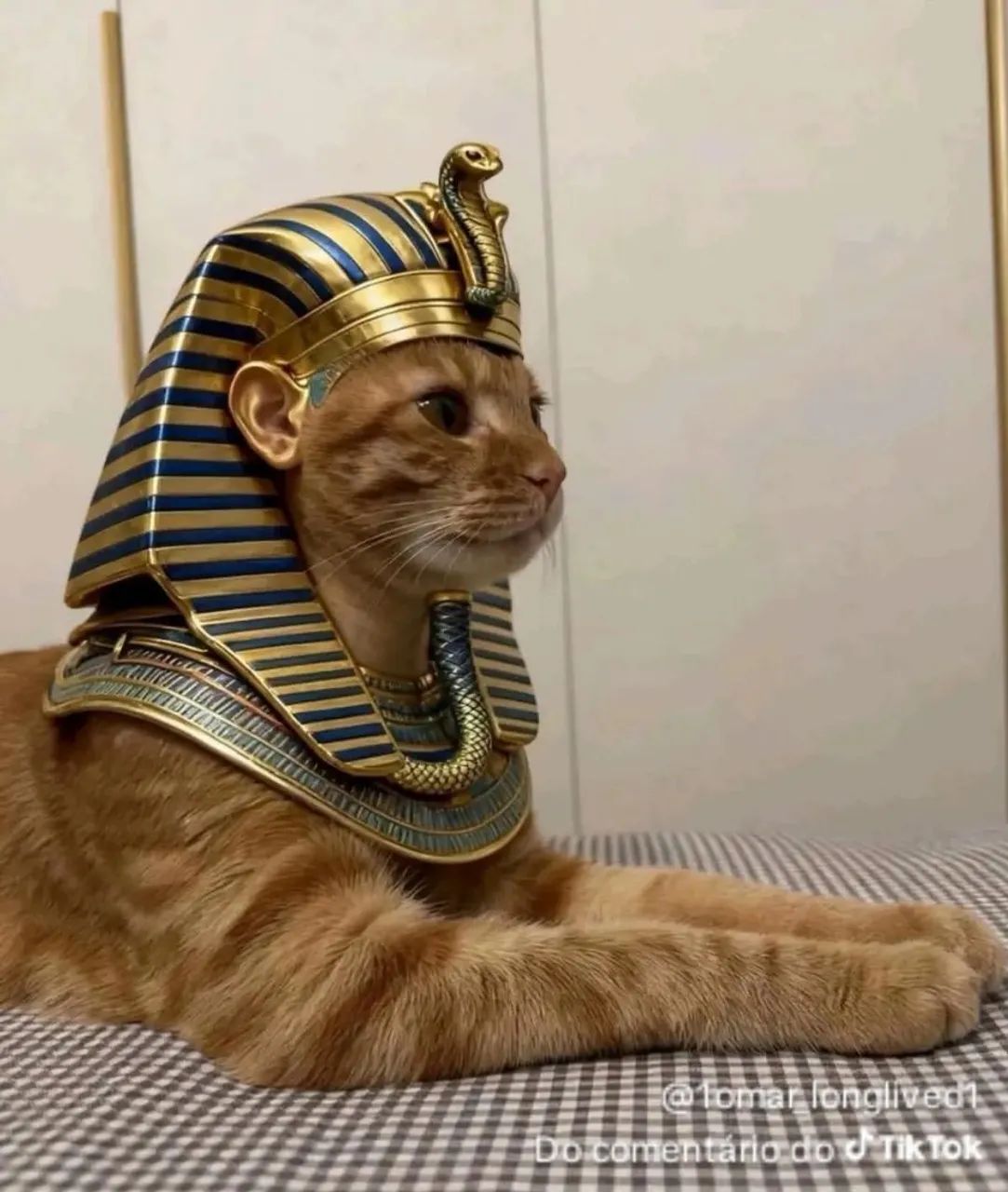 Placa mãe h61(ainda não em venda)