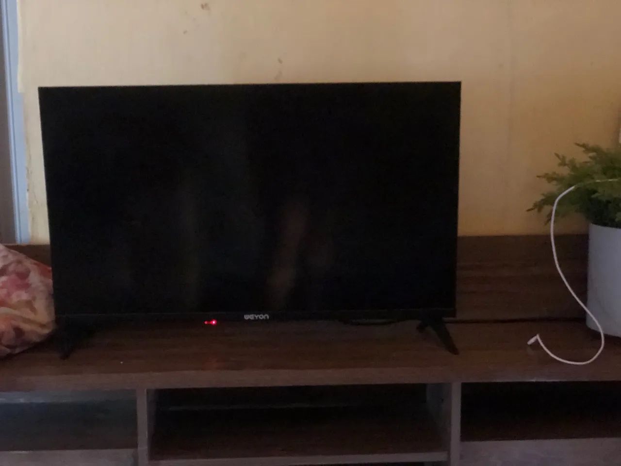 Televisão 
