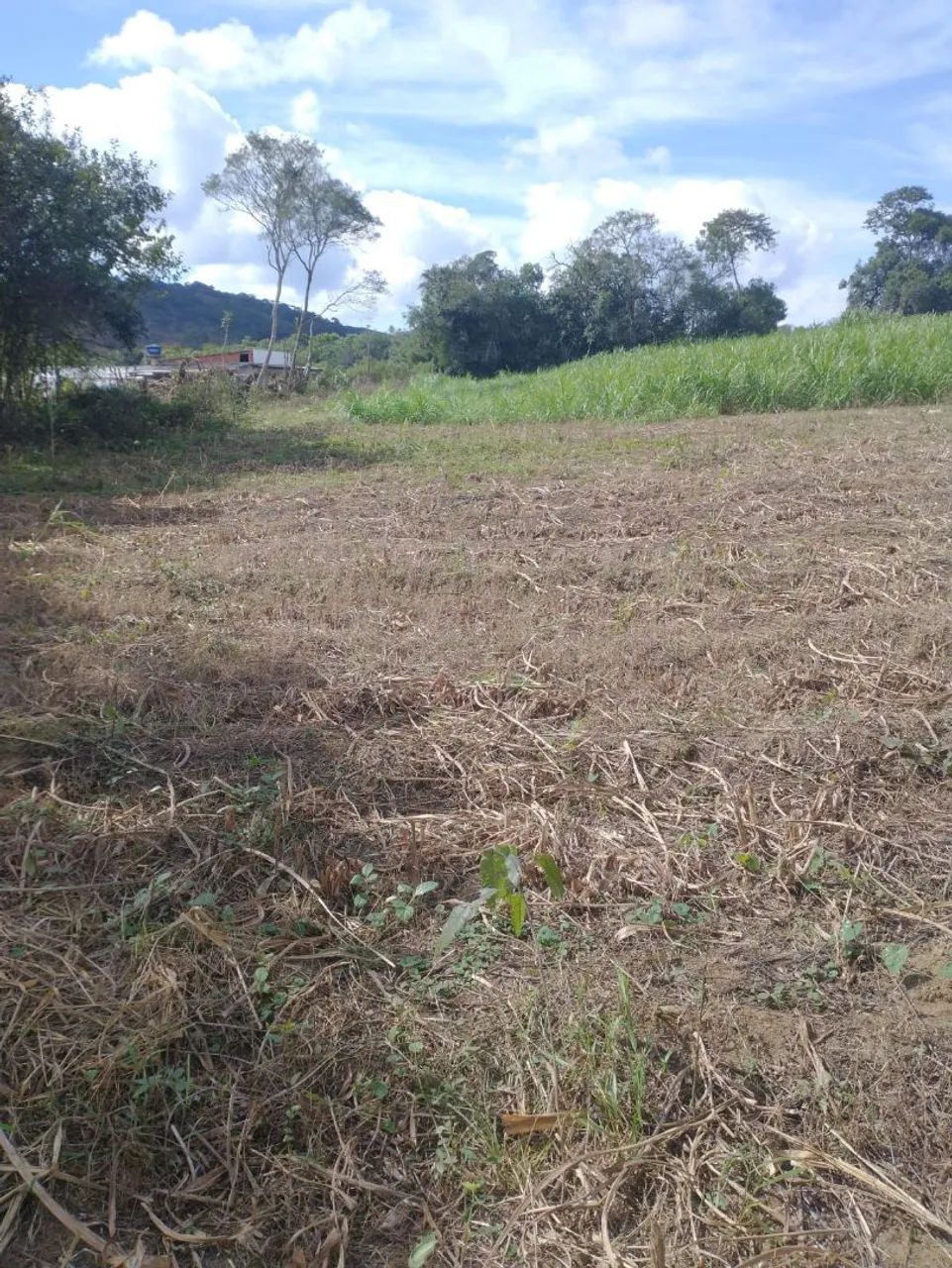 Vende-se Terreno 3.000m2  - Foto 5