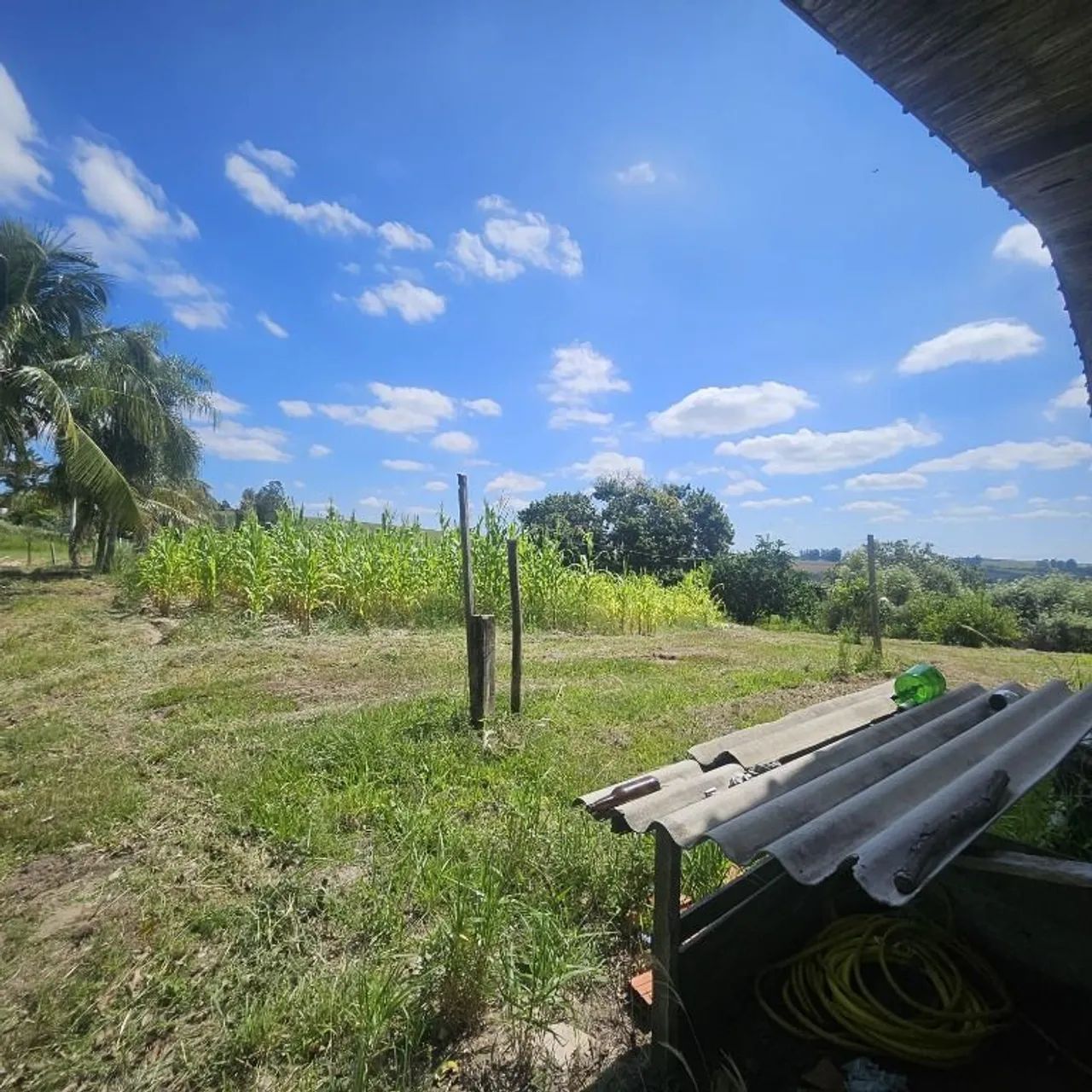 COM 61.000 M² , À SEIS KM DE BOFETE...! - Foto 3