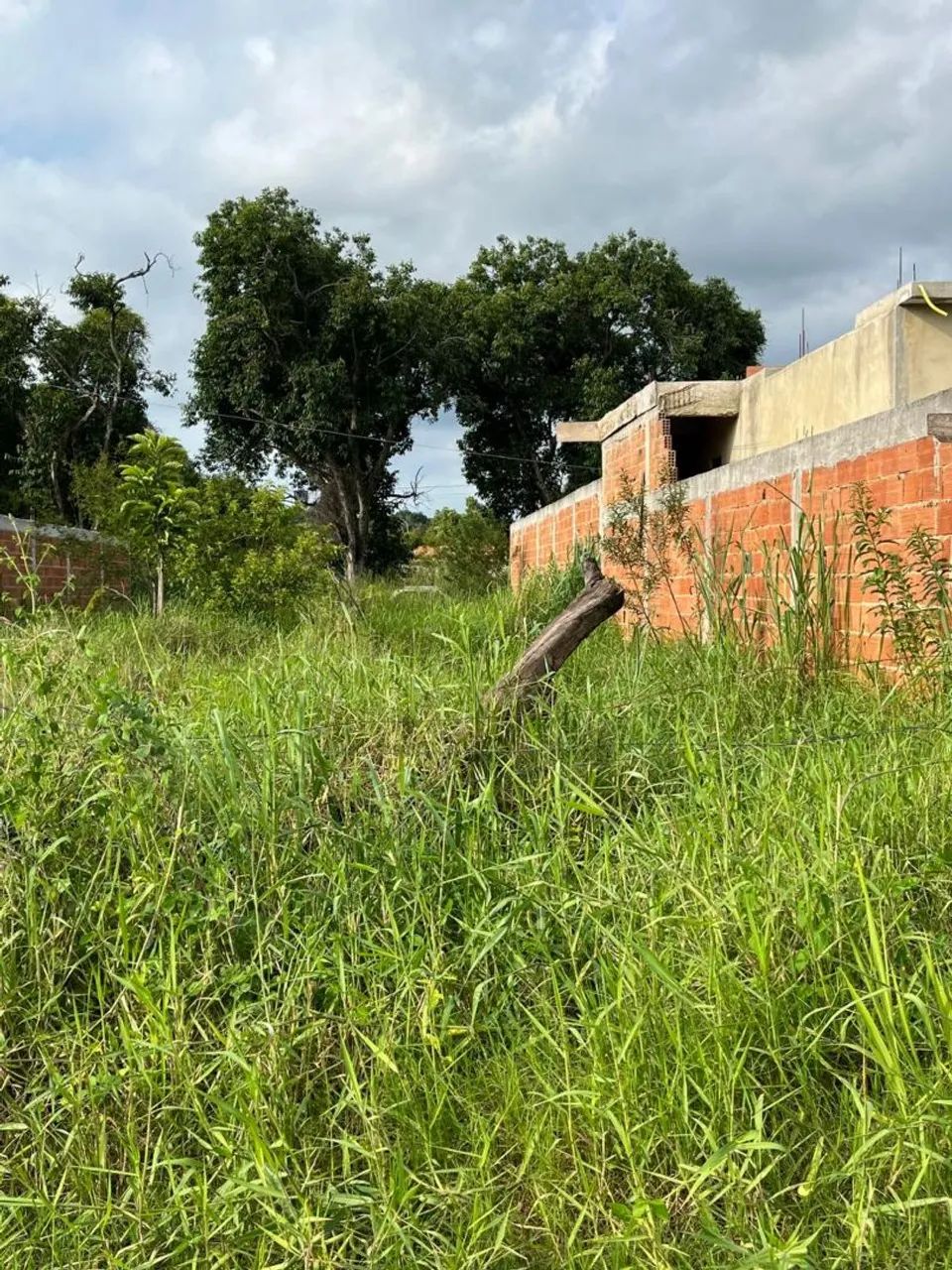 Foto - Rio de Janeiro - Santa Cruz