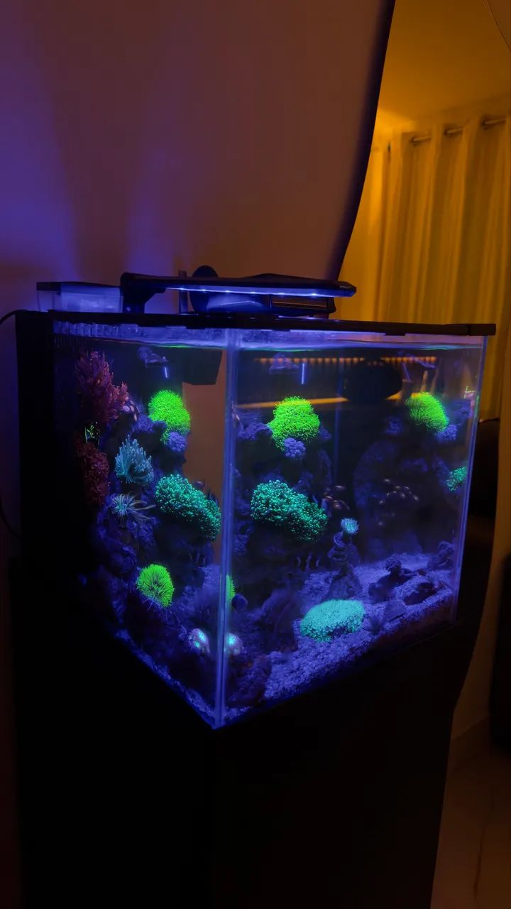 Luminária Nano Light - Ocean tech - Foto 4