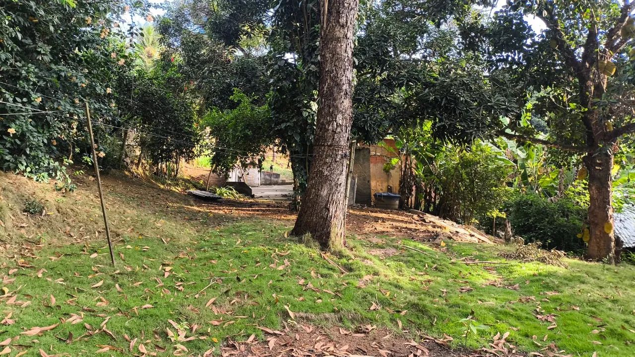 Vendo chácara em Belvedere 160 mil  - Foto 5