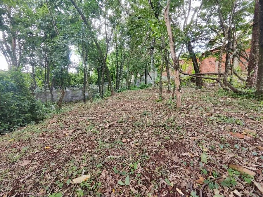 TERRENO COM 604,13 M²; BANDEIRANTES - Foto 4