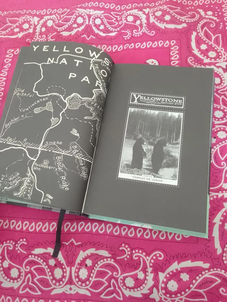 Livro Darkside Me Leve com Você - Foto 3