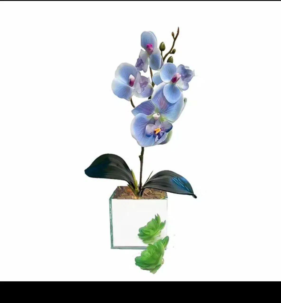 Vasinhos lindos de vidro com plantas artificial