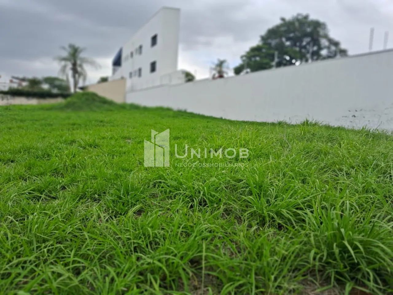 terreno - Nova Campinas - Campinas - Foto 2