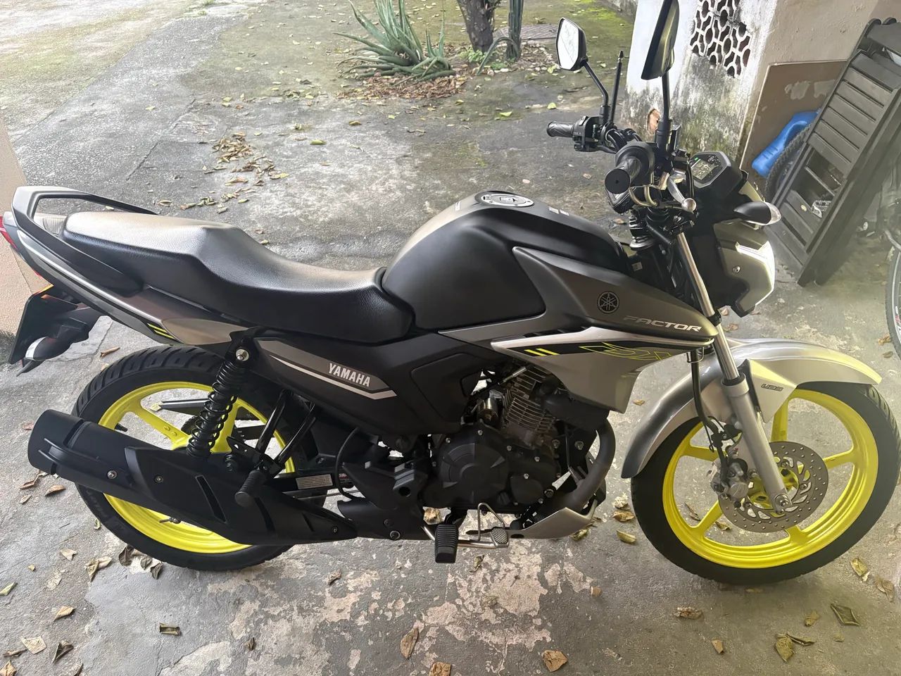 Factor DX 2025 - Foto 2