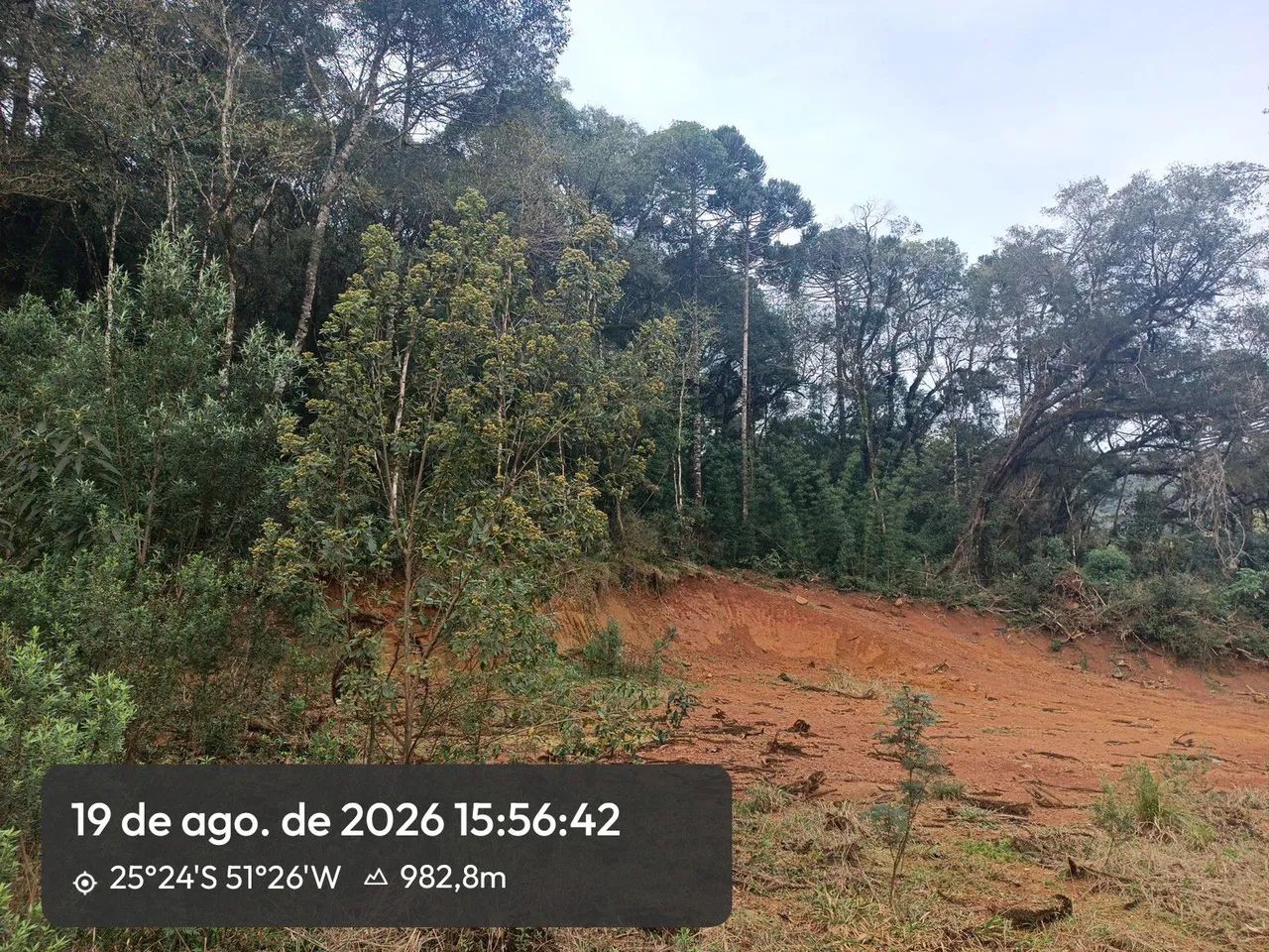 Terreno para casa de campo  - Foto 2