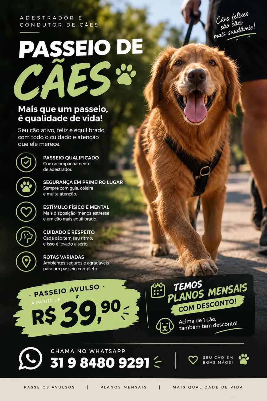 Passeio para Cães em Bh!