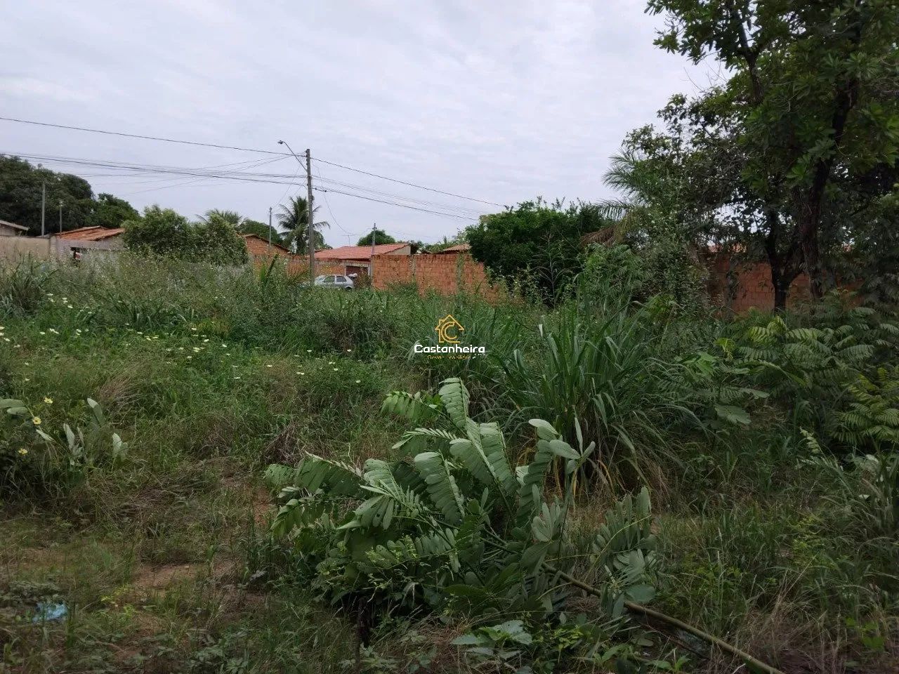 Lote Residencial 720m² - Setor SUSSUAPARA 2 - Foto 4