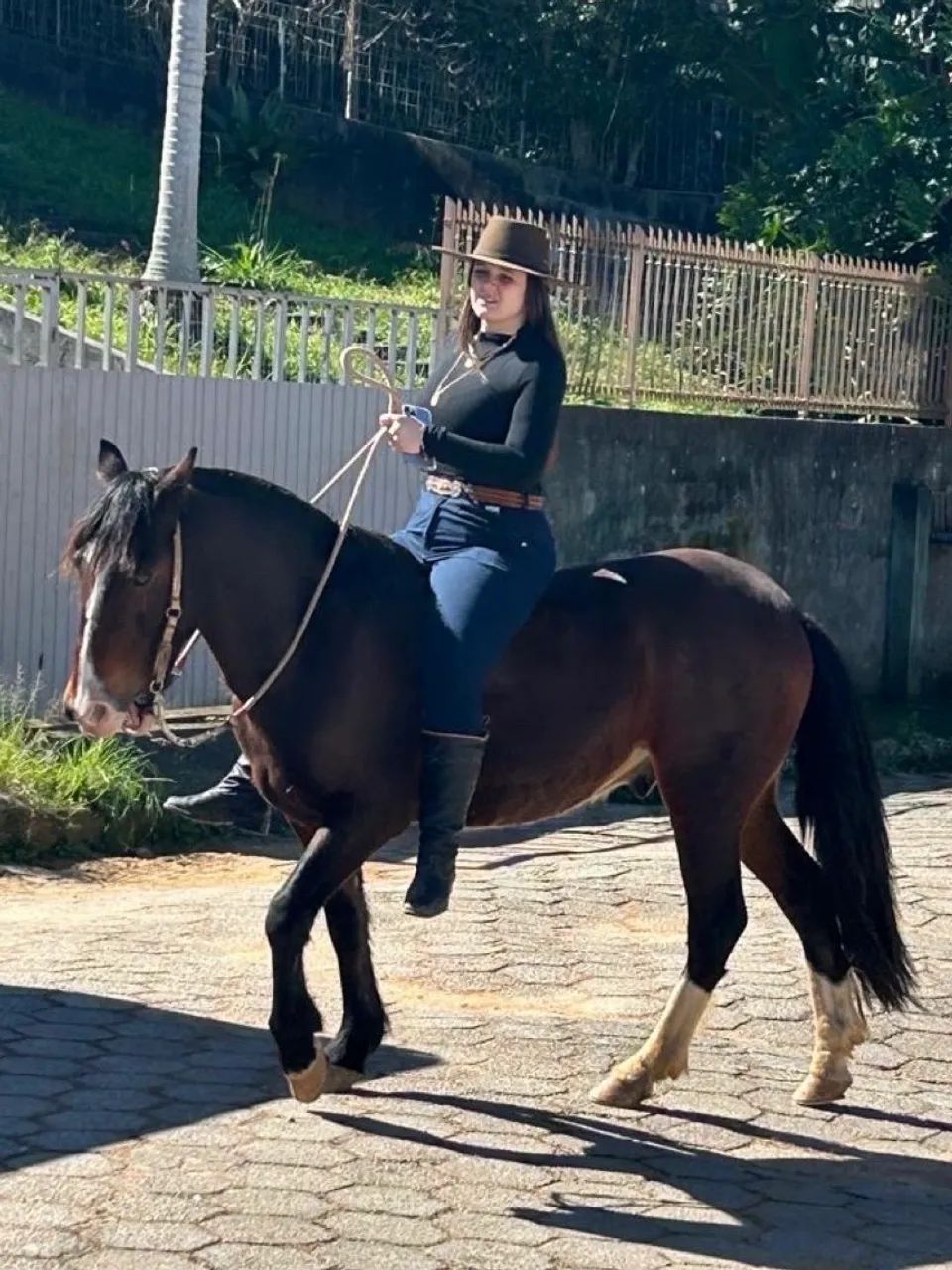 Cavalo Crioulo a venda! - Foto 6