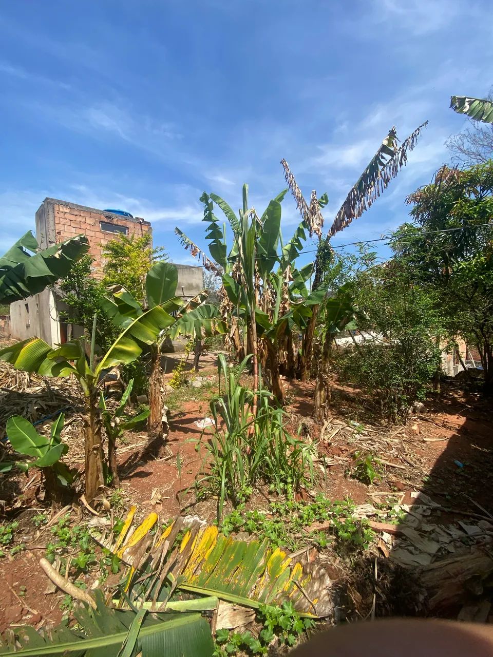 Vendo com urgência!! Casa encontra-se ALUGADA  - Foto 4