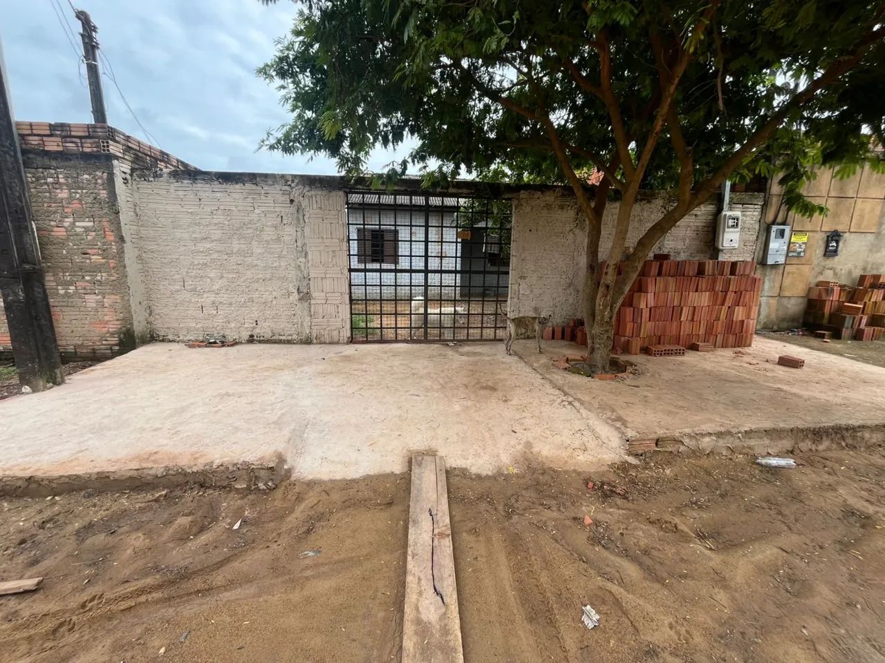 Foto - Porto Velho - Roque