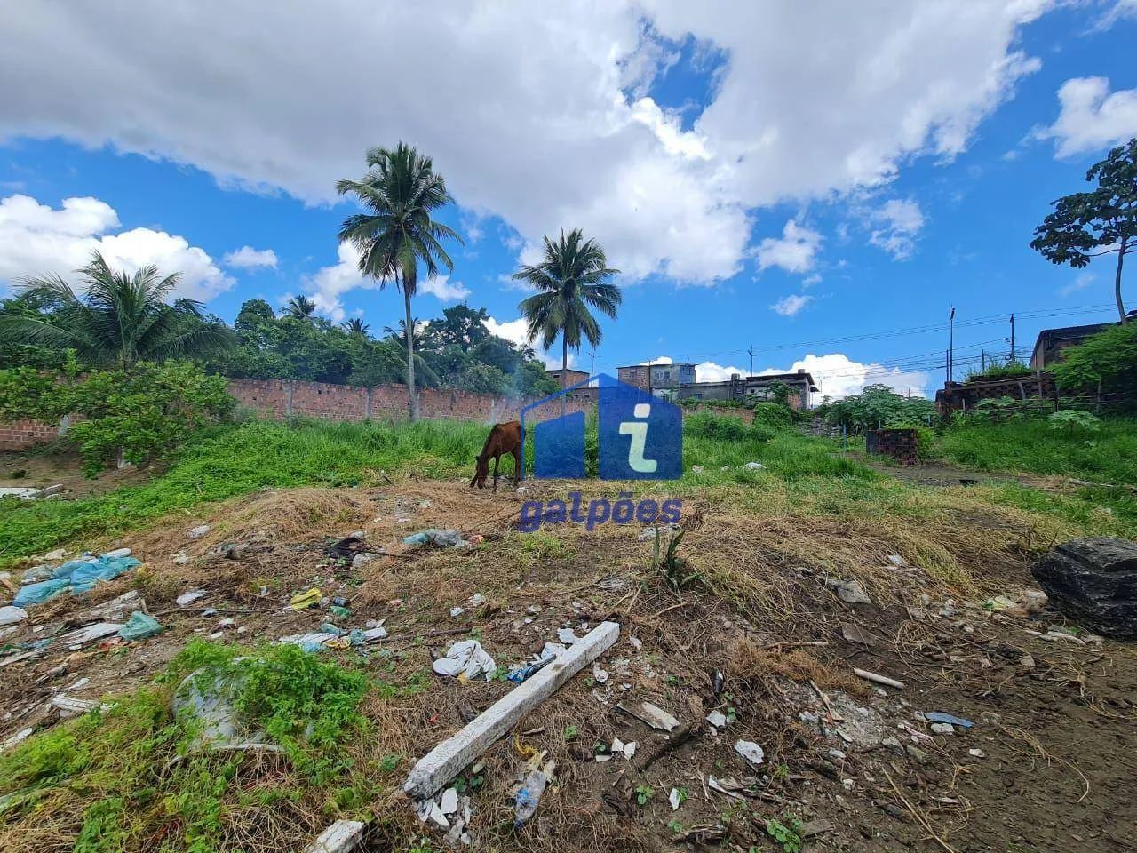 Terreno com 800 m² às margens da BR 101 em Igarassu - PE - Foto 3