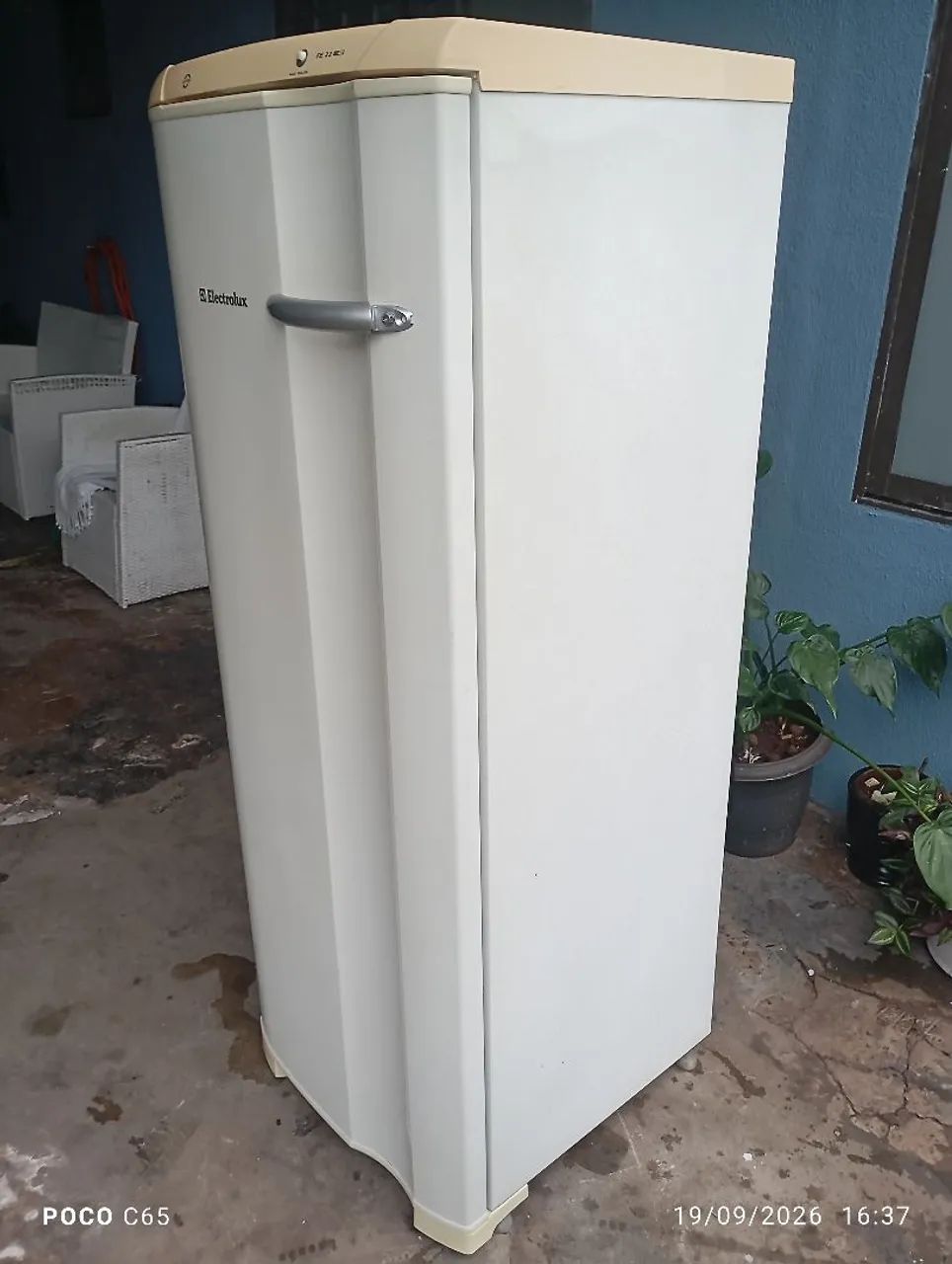 Frizer vertical  - Foto 3