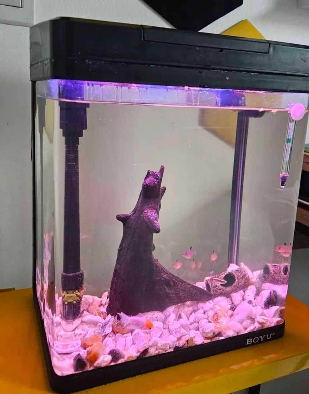 Aquário Boyu completo 25 litros
