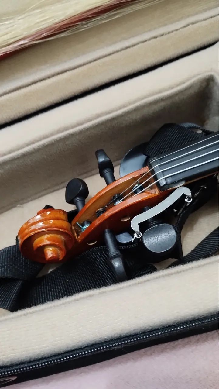 Violino 4x4 - Foto 3