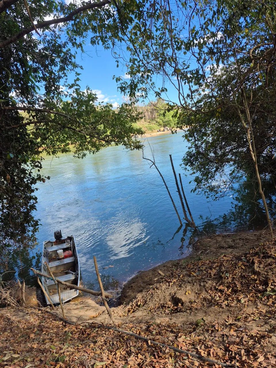 Fazenda beira do Rio Palmas Paranã to 5 alqueires