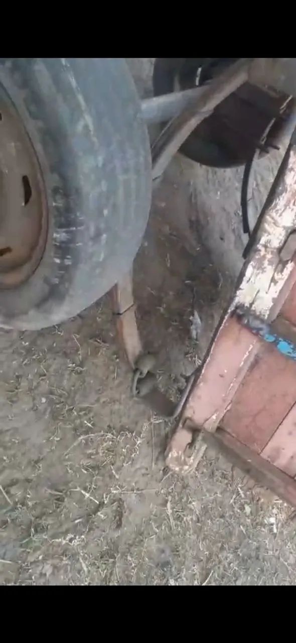 Vendo carroca c burra 